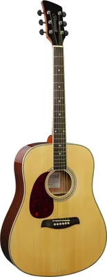 Obrázek produktu pro Brunswick Dreadnought BDL200 Natural LH