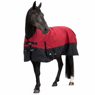 Produktbild von Winterdecke Monteze 1200D HN 200gr Rot/Schwarz Größe (Pferdedecke) - 145 cm