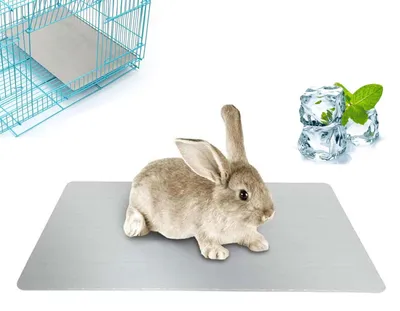 Immagine prodotto di Tappetino refrigerante per conigli e piccoli animali domestici (30 x 20 cm)