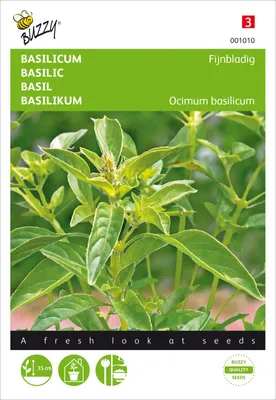 Produktbild von Basilikum Feinblättrig | Basilikumsamen von Buzzy Seeds