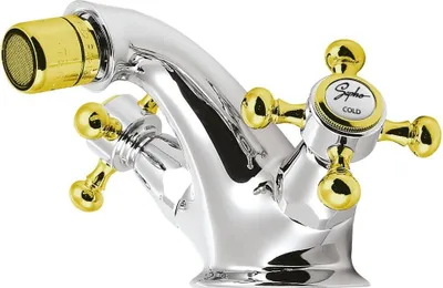 A close-up studio shot of a bidet faucet.