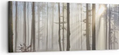 Produktbild von Bild auf Leinwand - Leinwandbild - Wald Baum Natur - 120x50cm - Wand Bild - Wanddeko - Wandbilder - Leinwanddruck - Bilder - Kunstdruck - Wanddekoration - Leinwand bilder - Wandkunst - AB120x50-3749