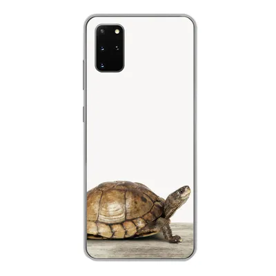 Produktbild von MuchoWow® Handyhülle Schutzhülle Hülle für Samsung Galaxy S20 Plus Schildkröte - Junge - Tiere - Kinder - Mädchen Silikon Softcase Handy Hülle - Hartschale