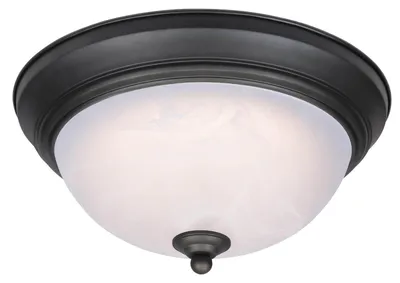 Zdjęcie produktu dla Westinghouse 6400640, 1 szt., LED, 3000 K, 1200 lm, Brąz