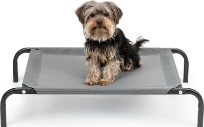 A small dog sits on a raised pet bed against a white background.
