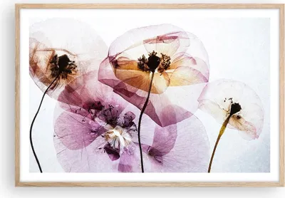 Produktbild von Gerahmtes Poster - Rahmen in heller Eiche - blume sommer natur - 91,5x61 cm - Wand Bild - Wanddeko - Wandbilder - Wandposter - Bilderrahmen - Bilder - Kunstdruck - Wandbild - P2NAA91x61-3821