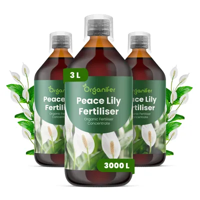 Obrázek produktu pro Laliovník Tekuté Hnojivo 3x1 L – 3-4-3 NPK – Pro Laliovník – Podporuje Dlhotrvajúcu Tvorbu Květů & Zdravé Listy – Organifer
