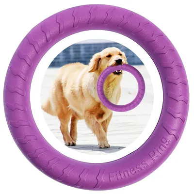 Produktbild von Hunde-Fitness-Ring Agility Trainingsgerät Lila 30CM EVA Reißfest Wasserspielzeug