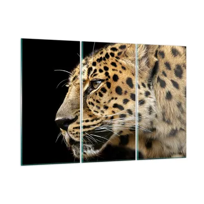Produktbild von Bilder auf glas - Tiere Leopard wilde Katze wilde Tiere - 105x70cm - Glasbilder - Wandbilder - Kunstdruck - Wanddekoration aus Glas - Glas Bilder - Wandbild auf Glas - GCE105x70-0433