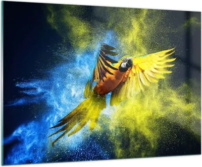 Produktbild von Bilder auf glas - Papagei Vogel Feder - 100x70cm - Glasbilder - Wandbilder - Kunstdruck - zum Aufhängen bereit - Wanddekoration aus Glas - Glas Bilder - Wandbild auf Glas - Einteilig - GAA100x70-3666