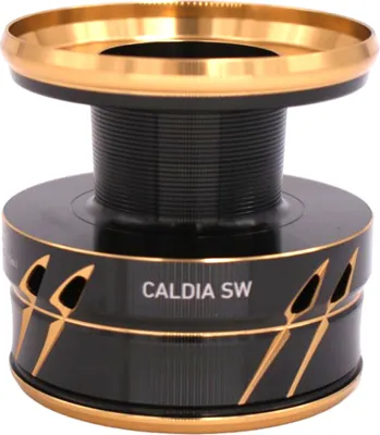 Image de DAIWA bobine de rechange pour 23 Caldia SW, 8000-H, 19320-805