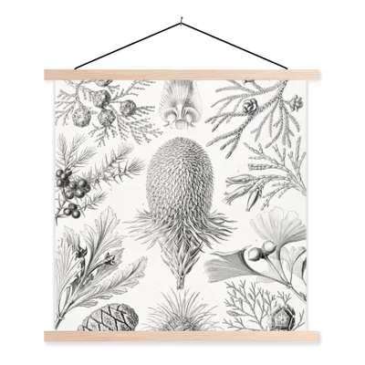 Produktbild von MuchoWow® Textilposter Koniferen - Ernst Haeckel - Kunst - Retro - Illustration - Natur 40x40 cm mit holzfarbenen Rahmen - Posterleiste