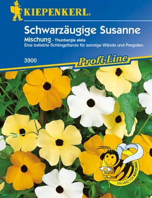 Produktbild von [STREICHUNG 2025] Schwarzäugige Susanne - Mischung | Schwarzäugige Susanne Samen von Kiepenkerl