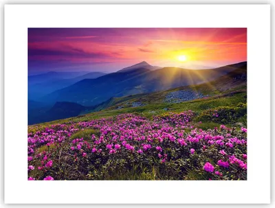 Produktbild von Poster - Poster ohne Rahmen - Wiese Berge Landschaft - 40x30 cm - Wand Bild - Wanddeko - Wandbilder - Kunstposter - Wandposter - Bilder - Kunstdruck - Wanddekoration - Wandbild - P2XAA40x30-2676