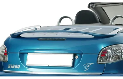 Produktbild von RDX Racedesign Heckspoiler kompatibel mit Peugeot 206 CC (PUR-IHS), blau