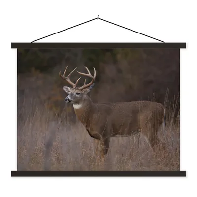 Produktbild von MuchoWow® Textilposter Herbst - Hirsche - Gras - Natur - Tiere 150x113 cm mit holzfarbenen Rahmen - Poster