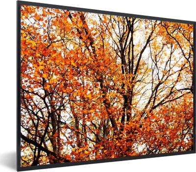 Produktbild von MuchoWow® Gerahmtes Poster Wald - Herbst - Jahreszeiten 80x60 cm - Poster mit Schwarzem Bilderrahmen Wandposter Rahmen Foto Bilder - Schwarzem - Mit Gestell