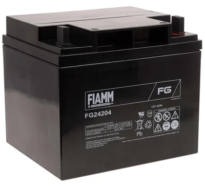 Image de FIAMM Batterie au plomb rechargeable FG24204 Vds