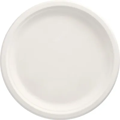 Produktbild von 50 Papstar Teller, Zuckerrohr pure ungeteilt Ø 26 cm, 2 cm weiss 89738