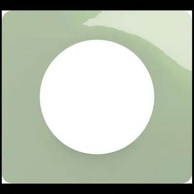 Immagine prodotto di Céliane placca interruttore 1 posto Vert Céladon - Legrand