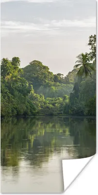 Produktbild von MuchoWow® Poster Großer Fluss unter den Bäumen des Corcovado-Nationalparks in Costa Rica 60x120 cm - Wandschmuck
