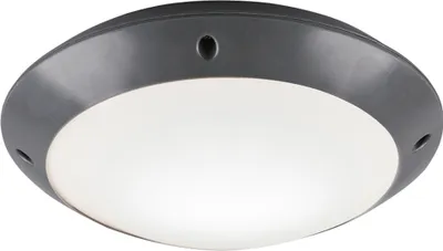 Obrázok produktu pre Vonkajší plafón CAMARO R60501042 RL
