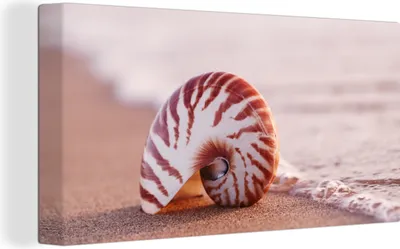 Produktbild von MuchoWow® - Leinwandbilder - Muschel - Strand - Meer - Sand, Wandbild, Wanddeko Bilder Wohnzimmer, 40x20 cm
