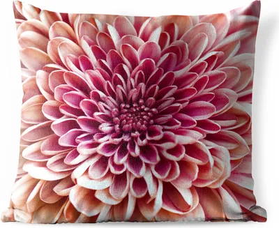 Produktbild von MuchoWow® Outdoor Kissen - Chrysantheme Nahaufnahme - 50x50 cm - Wetterfest - Lounge Kissen - Komfortabel - Kissen mit Bild