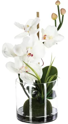 Immagine prodotto di Orchidea rosa in vaso di vetro, decorazione per la casa, altezza 37 cm