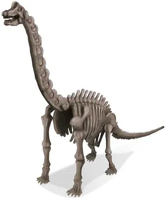Produktbild von 4M KidzLabs craft kit "Brachiosaurus skeleton"