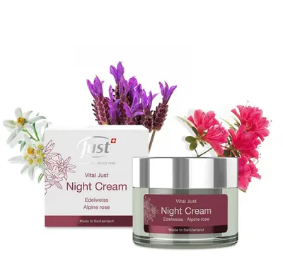 Image de Just Vital Just Night Cream Soin de Nuit Revitalisant 50 ml