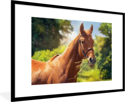 Produktbild von MuchoWow® MuchoWow® Gerahmtes Poster Pferd - Licht - Porträt 90x60 cm - Poster mit zchwarzem Bilderrahmen - Wanddekoration - Fotos