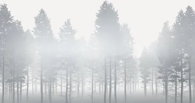 Immagine prodotto di Sanders & Sanders fotomurale paesaggio grigio e bianco 400 x 280 cm