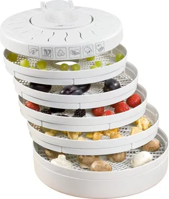 Immagine prodotto di Potente essiccatore per alimenti da 250 W a 5 livelli