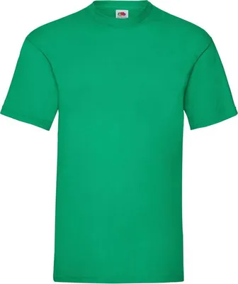 Produktbild von Herren-T-Shirt, Kurzarm - FOL VALUEWEIGHT T - kelly green - Größe 3XL