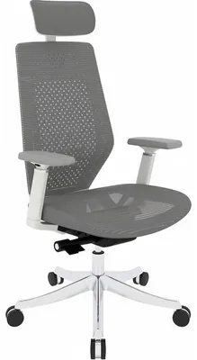 Immagine prodotto di Sedia da ufficio ergonomica BS11G-PRO, con braccioli, grigia