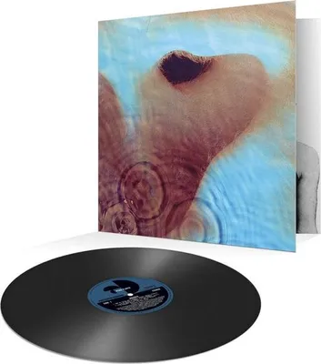 Immagine prodotto di Pink Floyd: Meddle (rimasterizzato) (180g)