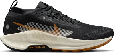 Produktbild von Nike Pegasus Trail 5 Gtx Flt Silver/Volt/Black 42