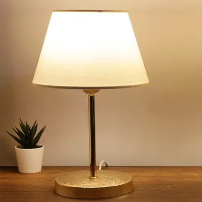 A table lamp with a cream-colored shade and a gold base sits on a wooden surface next to a small potted plant.
