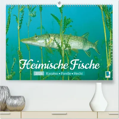 Produktbild von Heimische Fische: Karpfen, Forelle, Hecht (hochwertiger Premium Wandkalender 2026 DIN A2 quer), Kunstdruck in Hochglanz