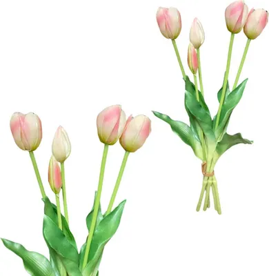 Immagine prodotto di Tulipani rosa chiaro - bouquet di gomma con tulipani 39 cm Real Touch colore 19