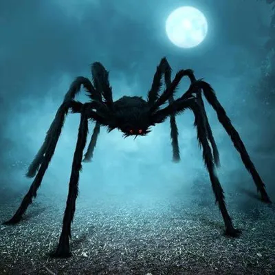 Obrázok produktu pre Veľká chlpatá halloweenská dekorácia v podobe pavúka, 152 cm, realistická, čierna