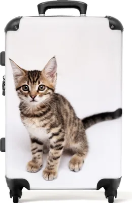Produktbild von NoBoringSuitcases.com® Großer Koffer - Katze - Haustiere - Katze - Kinder - Braun - Kombinationsschloss TSA - Hartschalen Trolley 4 Rollen - 72 liter - Reisekoffer - 66 cmKoffer Mittelgroß 67x43x25 cm, 72L,