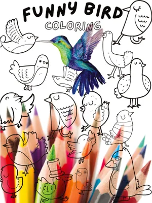 Produktbild von Funny Bird Coloring Book