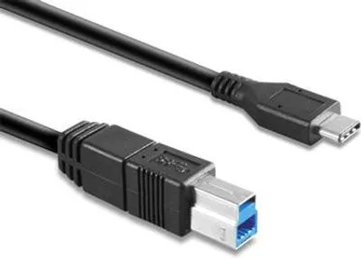Image de Hamlet XCTC-U3B100 Câble USB 3.2 Gen 2 (3.1 Gen 2) 1 m USB C USB B Noir