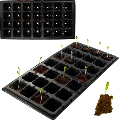 A black seedling tray with 28 individual cells, some containing small green seedlings, is shown against a white background. A separate clump of soil with a seedling is also visible.