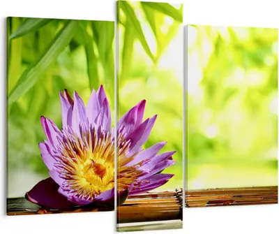 Produktbild von Bild auf Leinwand - Leinwandbild - Asien spa bambus blume - 95x80cm - Wand Bild - Wanddeko - Leinwanddruck - Bilder - Kunstdruck - Wanddekoration - Leinwand bilder - Wandkunst - CB95x80-2476