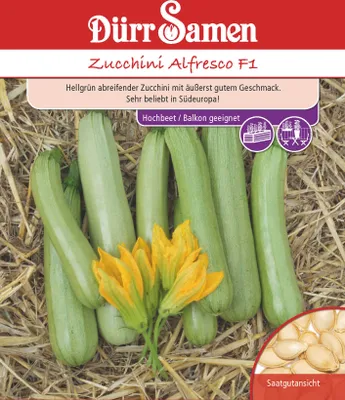 Produktbild von Zucchini Alfresco F1 | Zucchinisamen von Dürr Samen