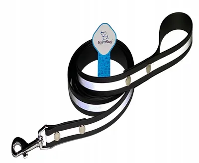Produktbild von MyPetShop Reflektierende Wasserdichte Hundeleine 5m Robust