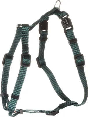 Produktbild von Flamingo Geschirr Ziggi dunkelgrün, Größe: XS / Breite: 10 mm